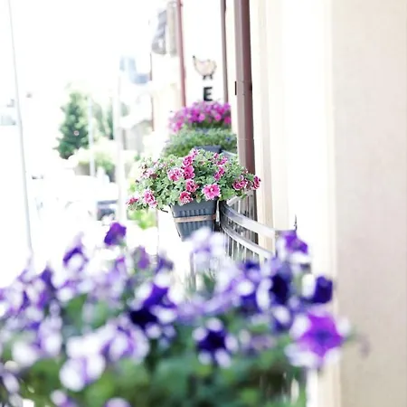 View 公寓式酒店 克拉奥华