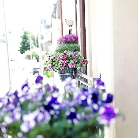 Hotel apartamentowy View