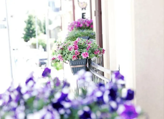 View Apartmanhotel Craiova